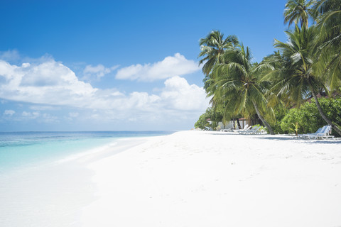 Malediven, Ari Atoll, Blick auf leeren Traumstrand mit Palmen und Strandliegen, lizenzfreies Stockfoto