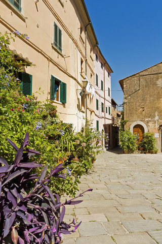 Italy, Tuscany, Castagneto Carducci, old houses and alley stock photo