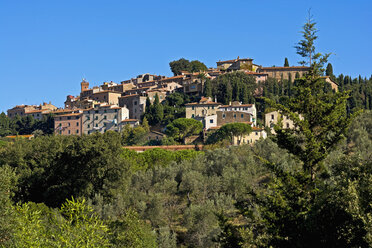 Italien, Toskana, Castagneto Carducci, Blick auf das Dorf - UMF000709