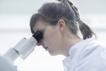 Young female natural scientist using microscope at laboratory - SGF001098