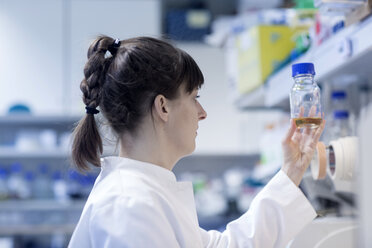 Young female natural scientist working at biological laboratory - SGF001081