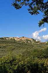 Italy, Tuscany, Castagneto Carducci, View to village, Olive trees - UMF000712