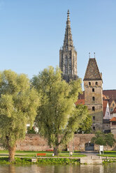 Deutschland, Baden Württemberg, Ulm, Münster und Metzgerturm an der Donau - SHF001616