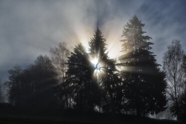 Deutschland, Bayern, Sonnenaufgang im Bayerischen Wald - STS000617