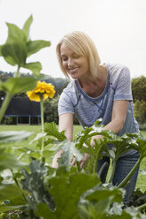 Lächelnde Frau bei der Arbeit im Garten - RBF001926