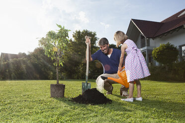 Vater und Tochter pflanzen einen Baum im Garten - RBF002016