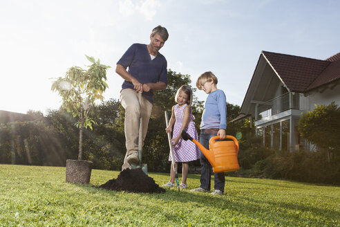 Vater und Kinder pflanzen einen Baum im Garten - RBF002018