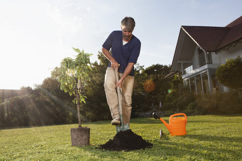 Man planting tree in garden - RBF002019
