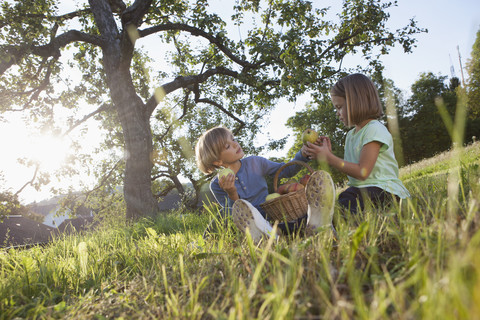 Boy and girl eating apples in meadow stock photo