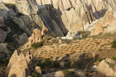 Turkey, Goereme National Park, tuff rock formations and vine cultivation - SIEF006272