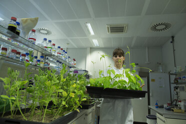 Junge Biologin bei der Arbeit im Pflanzenforschungslabor - SGF001115