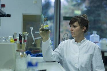 Young female natural scientist working at labroratory - SGF001089