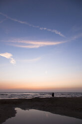 Netherlands, Bloemendaal, lovers on beach at sunset - FCF000522