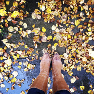 Boots in autumn leaves - LVF002335