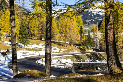 Schweiz, Graubünden, Albulapassstrasse im Herbst - STSF000630