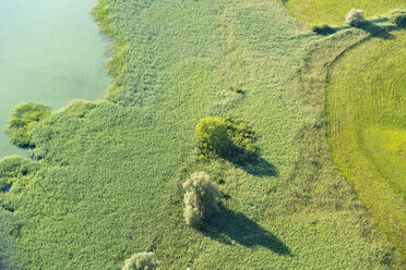 Germany, Baden-Wuerttemberg, Lake Constance, aerial view of nature reserve Wollmatinger Ried - SHF001708