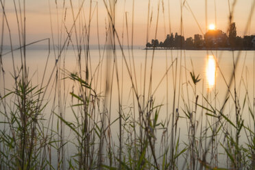 Deutschland, Baden Württemberg, Bodensee, Immenstaad, Sonnenuntergang am Seeufer - SHF001703