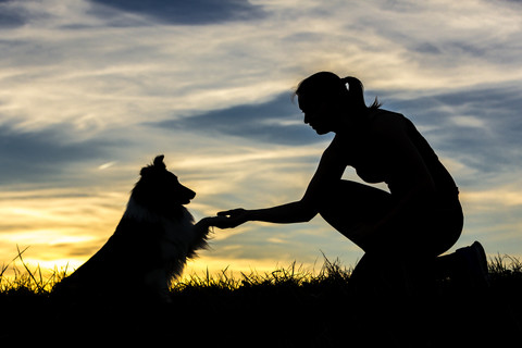Deutschland, Frau mit Hund, Silhouetten bei Sonnenuntergang, lizenzfreies Stockfoto