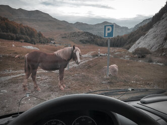 Spanien, Pyrenäen, Pferd auf Parkplatz - LAF001238