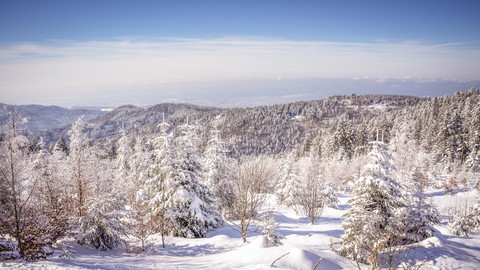 Deutschland, Baden Württemberg, Winterlandschaft im Schwarzwald, lizenzfreies Stockfoto