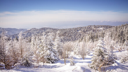 Germany, Baden-Wuerttemberg, winter landscape at Black forest - PUF000327