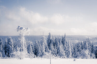 Deutschland, Baden Württemberg, Winterlandschaft im Schwarzwald - PUF000328