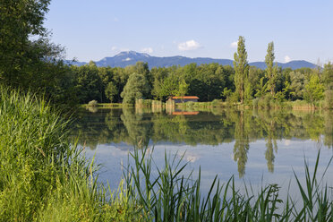 Deutschland, Bayern, Raubling, Landschaft mit Fischteich - SIEF006299