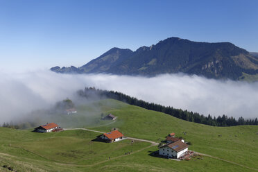 Germany, Bavaria, Upper Bavaria, Chiemgau, Chiemgau Alps, Daffnerwaldalm at Heuberg near Nussdorf am Inn, Hochries in the background - SIEF006289