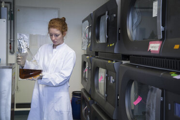 Young female natural scientist working in biochemistry laboratory - SGF001158