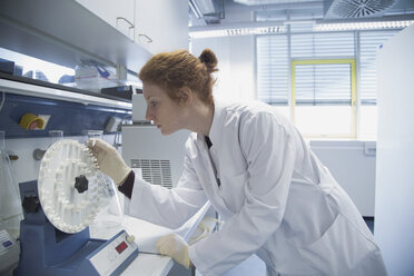 Young female natural scientist working in biochemistry laboratory - SGF001132