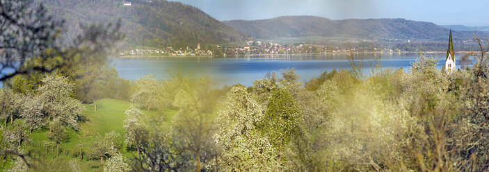 Deutschland, Baden-Württemberg, Bodensee, Sipplingen, blühende Bäume und Kirchturm - SHF001777