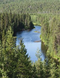 Finnland, Lappland, Kuusamo, Oulanka-Nationalpark, Fluss Oulankajoki mit Kiefernwald - JBF000175