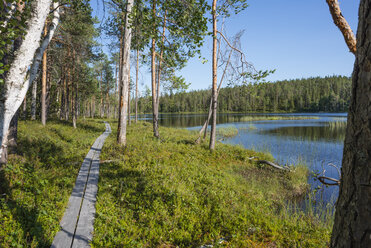 Finland, Lapland, Kuusamo, Oulanka National Park, pine forest with boardwalk and lake - JBF000176