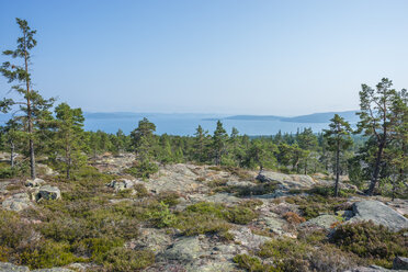 Schweden, Provinz Vaesternorrland, Skuleskogen Nationalpark, Blick vom Slattdalsberget auf die Ostsee - JBF000188