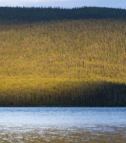 Schweden, Lappland, Landkreis Norrbotten, Kvikkjokk, See Saggat mit dichtem Wald, lizenzfreies Stockfoto