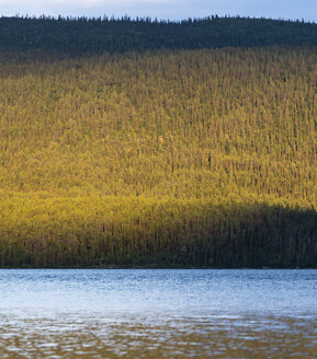 Schweden, Lappland, Landkreis Norrbotten, Kvikkjokk, See Saggat mit dichtem Wald - JBF000193