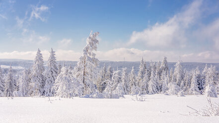 Deutschland, Baden-Württemberg, Schwarzwald, schneebedeckte Landschaft - PUF000334