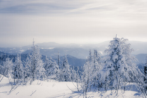 Deutschland, Baden-Württemberg, Schwarzwald, schneebedeckte Landschaft - PUF000336