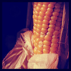 Corn cob - HOHF001212