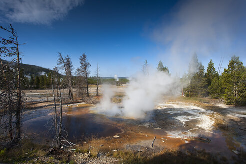 USA, Wyoming, Norris-Geysir-Becken, Yellowstone-Nationalpark, Norris-Geysir-Becken - NNF000089