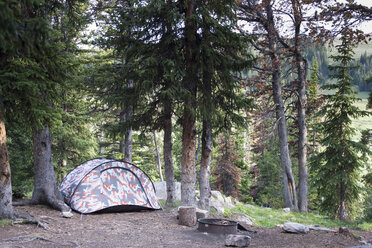 USA, Montana, tent in wood - NNF000101