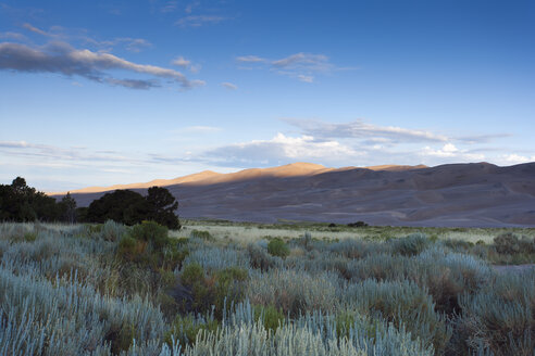 USA, Colorado, Great Sand Dunes National Park and Preserve - NNF000108