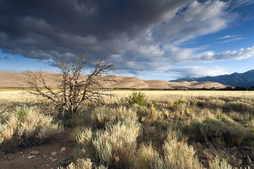 USA, Colorado, Great Sand Dunes National Park and Preserve - NNF000109