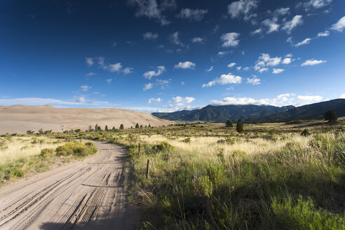 USA, Colorado, Great Sand Dunes National Park and Preserve - NNF000110