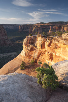 USA, Colorado, Colorado National Monument - NNF000116