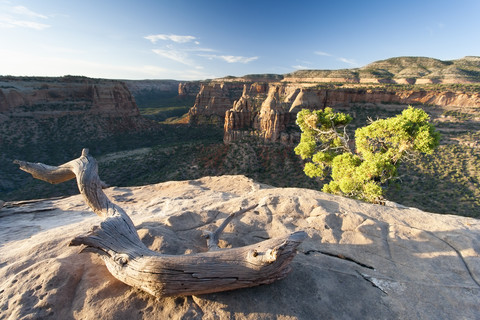 USA, Colorado, Colorado National Monument, lizenzfreies Stockfoto
