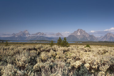 USA, Wyoming, Grand-Teton-Nationalpark - NNF000119
