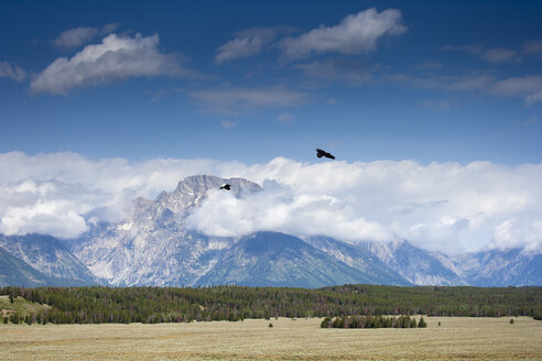 USA, Wyoming, Grand-Teton-Nationalpark - NNF000126