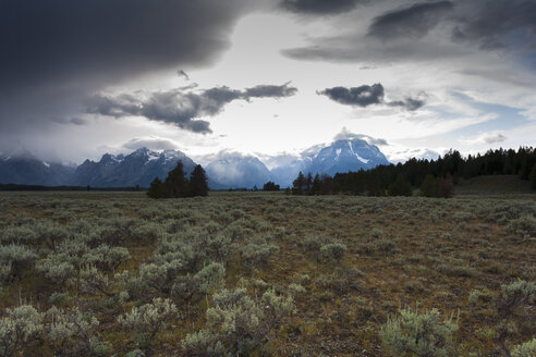 USA, Wyoming, Grand-Teton-Nationalpark - NNF000128