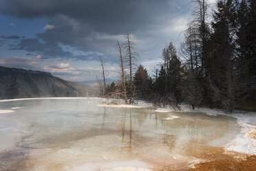 USA, Wyoming, Mammoth Hot Springs, Yellowstone-Nationalpark - NNF000131